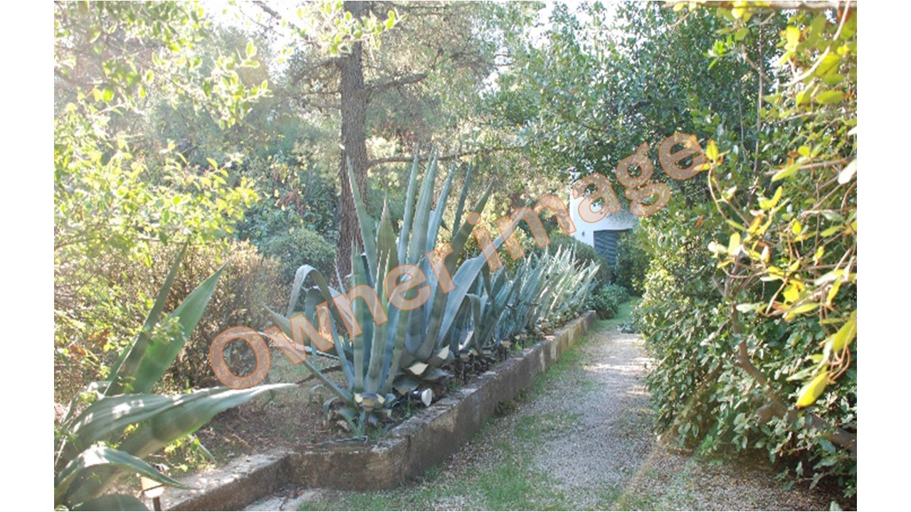 Alternative angle of Ekali plot and neighbouring properties